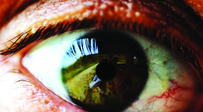 Iskonska ljepota u objektivu Petre Sokolić