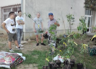 Sadnja školskog voćnjaka u budućem SmART KVARTu