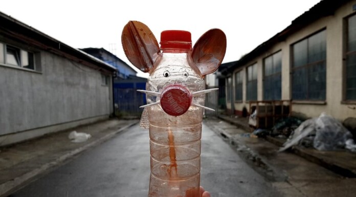 Kraj plastičnom onečišćenju kroz “trash art”