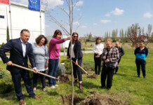 O makedonskom prijateljstvu i suradnji iz učeničke perspektive