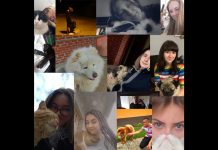 Još jednom pokazali ljubav prema životinjama