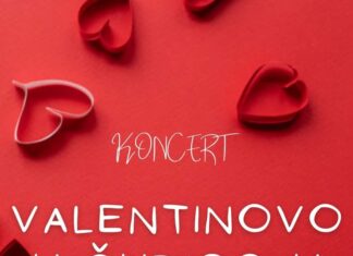 Valentinovo u ŠUDIGO-u