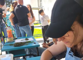 Otvorena vrata škole